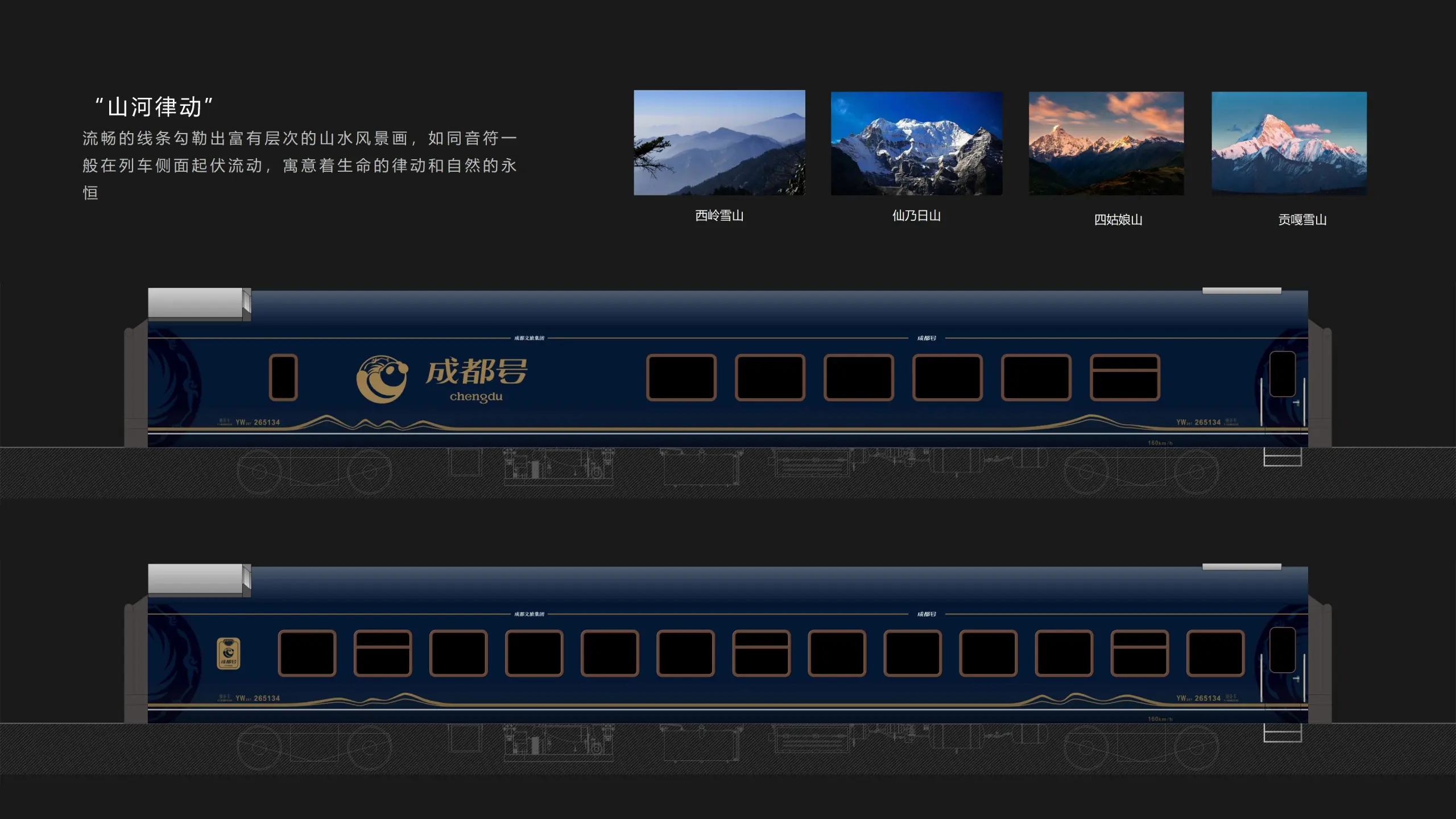 案例图片